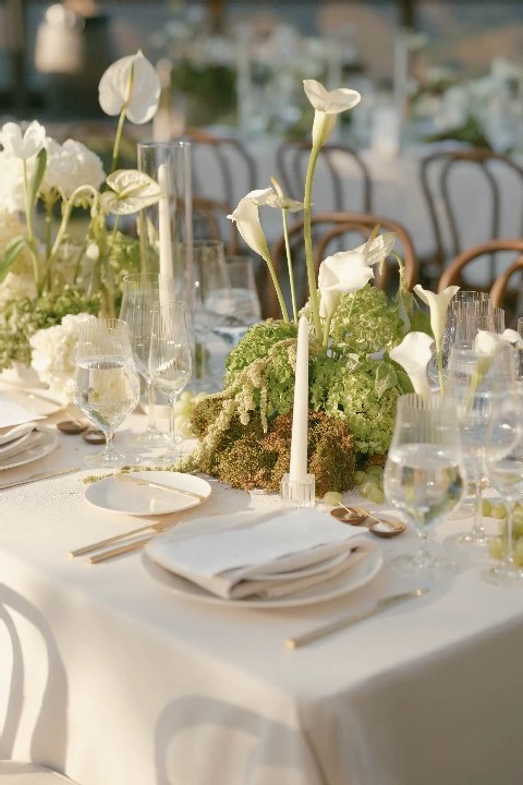 An Vineyard Wedding for Daniela and Matthew