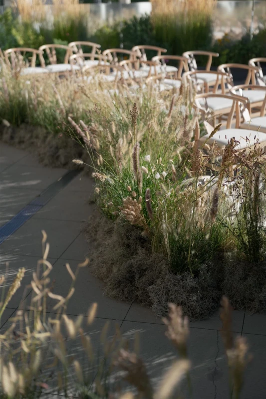 An Modern Wedding for Elizabeth and Matt