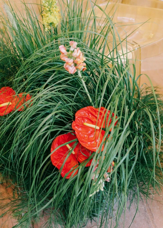 A Vibrant Wedding for Emily and Jason