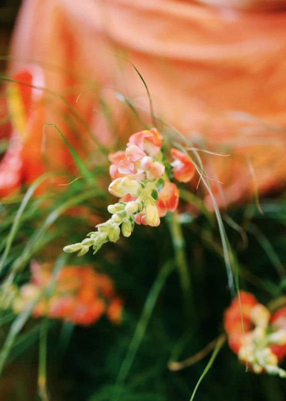 A Vibrant Wedding for Emily and Jason