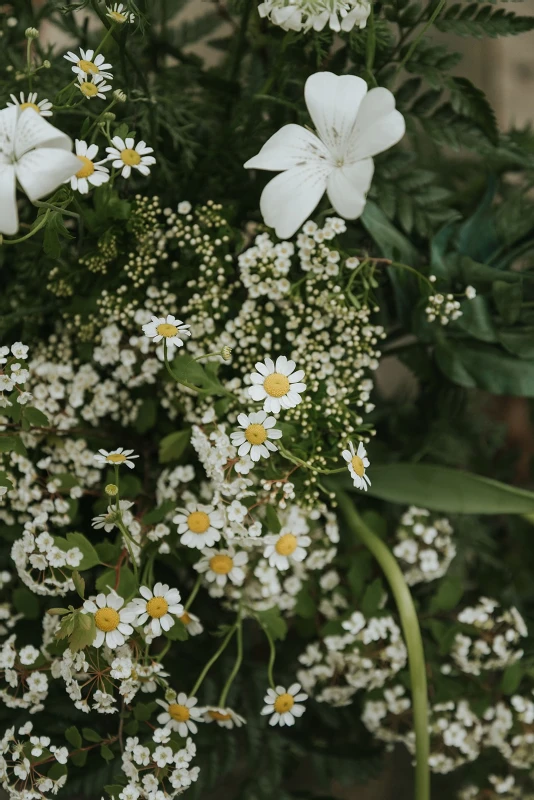 A Forest Wedding for Lindsey and Wesley