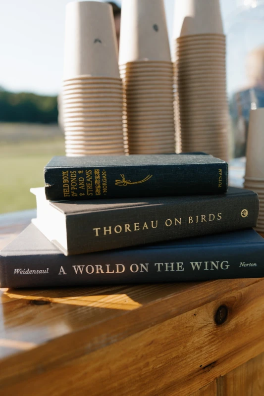 A Whimsical Wedding for Maddie and Bradley