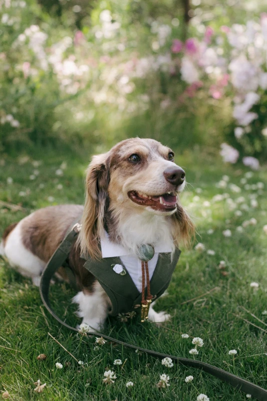 A Whimsical Wedding for Sydney and Kurt