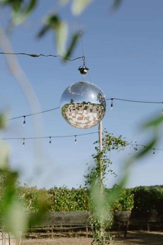 A Vineyard Wedding for Taylor and Brock