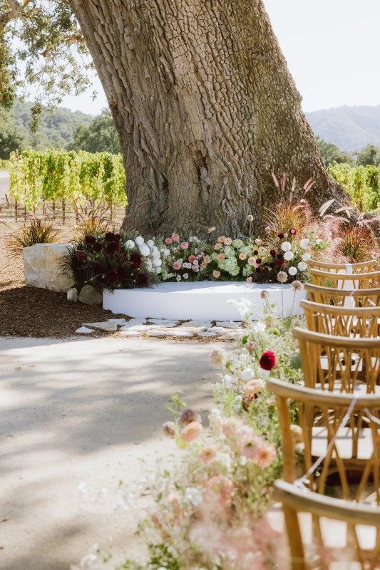 A Vineyard Wedding for Taylor and Brock