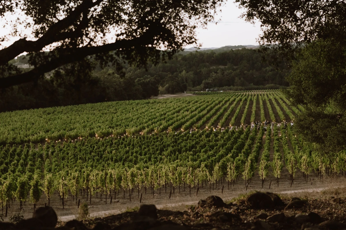 A Vineyard Wedding for Taylor and Brock