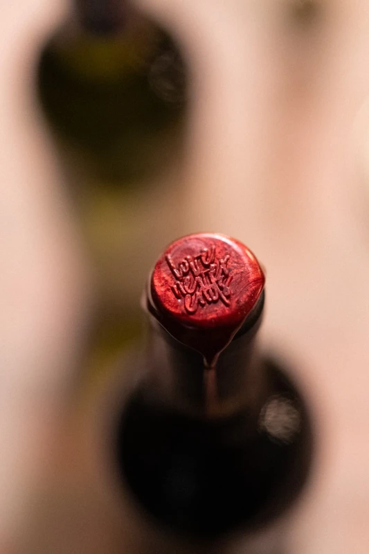 A Vibrant Wedding for Ting and Yuan