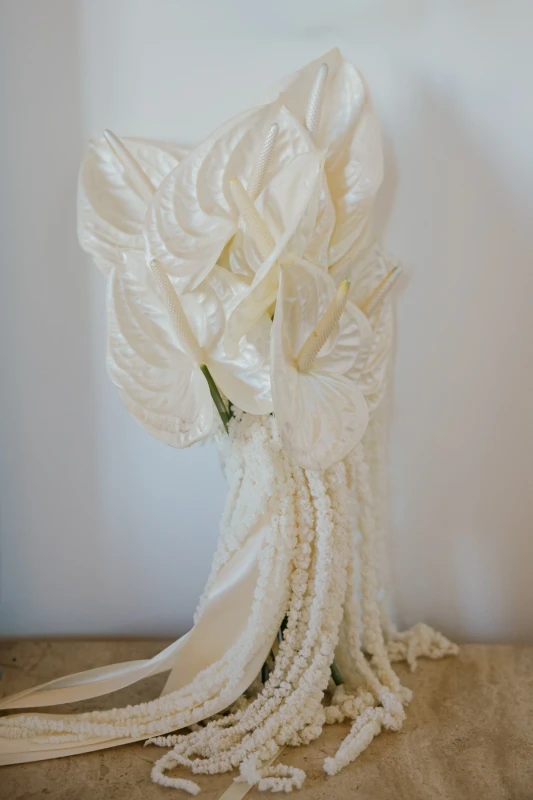 A Romantic Wedding for Vanessa and Rachid