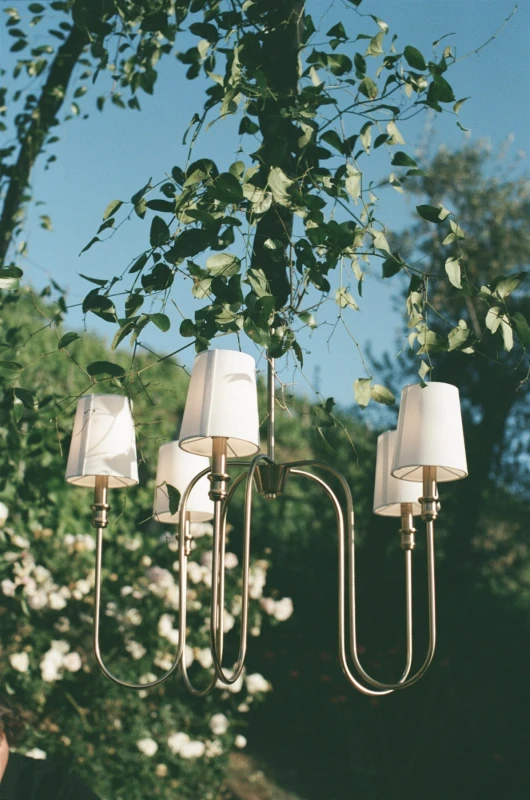 A Classic Wedding for Will and JC